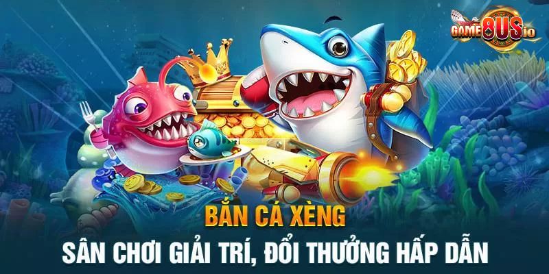 Đôi nét giới thiệu về sản phẩm Ban Ca Xeng 8US